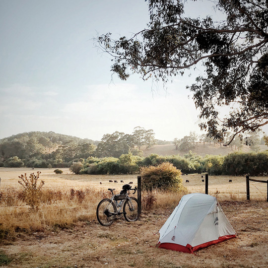 Wander Dust - Photos